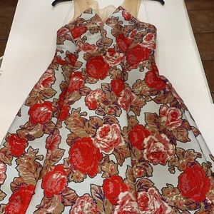 Red & Light Blue Floral/Rose Embroidered Dress